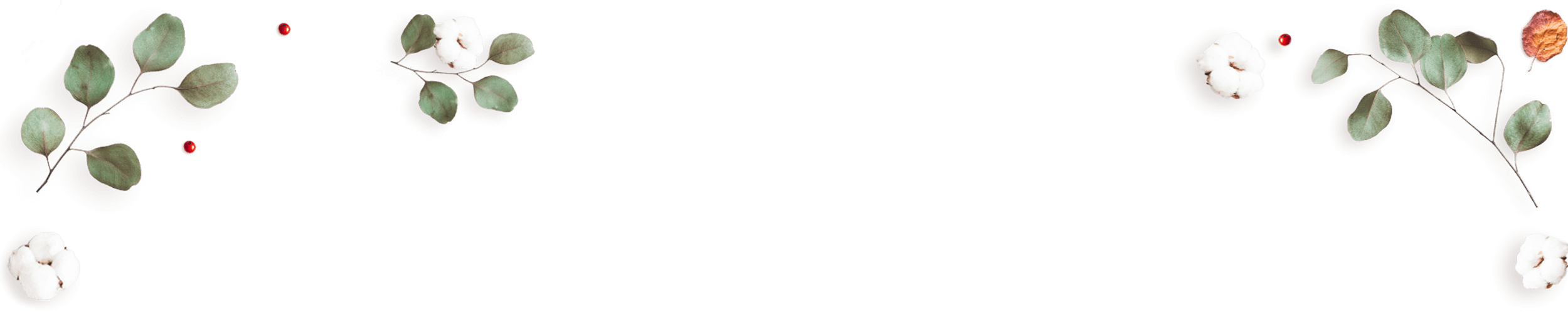 https://minkoani.com/wp-content/uploads/2020/10/floating_image_02-1.png