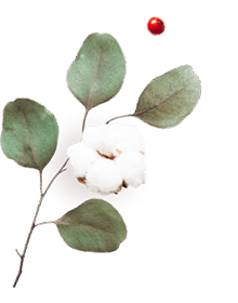 https://minkoani.com/wp-content/uploads/2020/10/floating_image_06-1.png