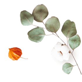 https://minkoani.com/wp-content/uploads/2020/10/floating_image_07-1.png