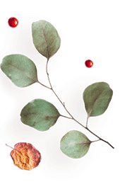 https://minkoani.com/wp-content/uploads/2020/10/floating_image_10-1.png