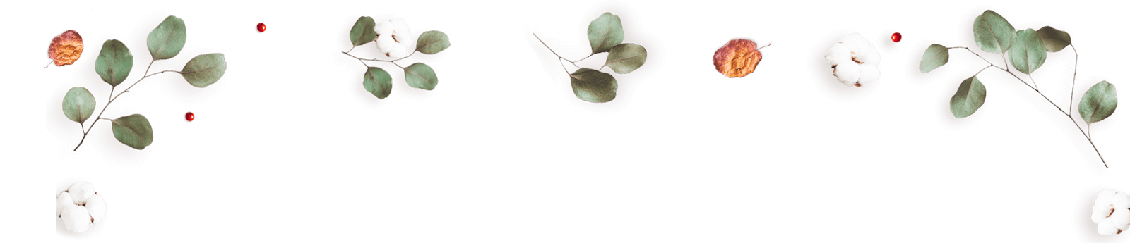 https://minkoani.com/wp-content/uploads/2020/12/floating_image_12-1.png