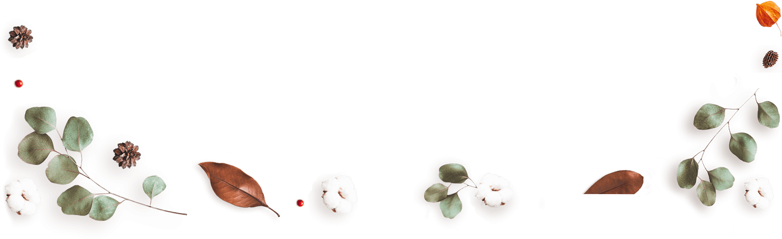 https://minkoani.com/wp-content/uploads/2020/12/floating_image_13-1.png
