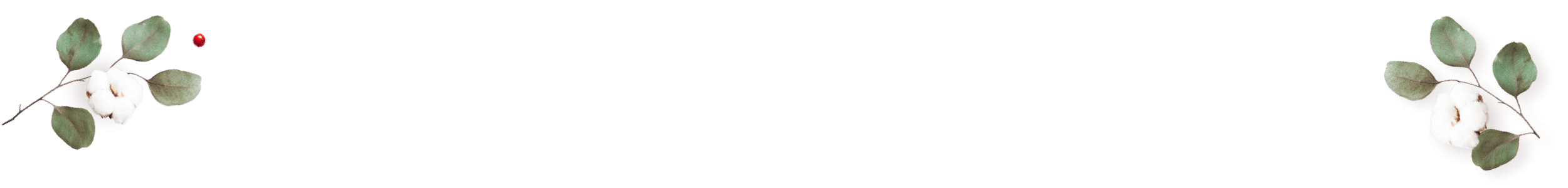 https://minkoani.com/wp-content/uploads/2020/12/floating_image_couples_01-1.png