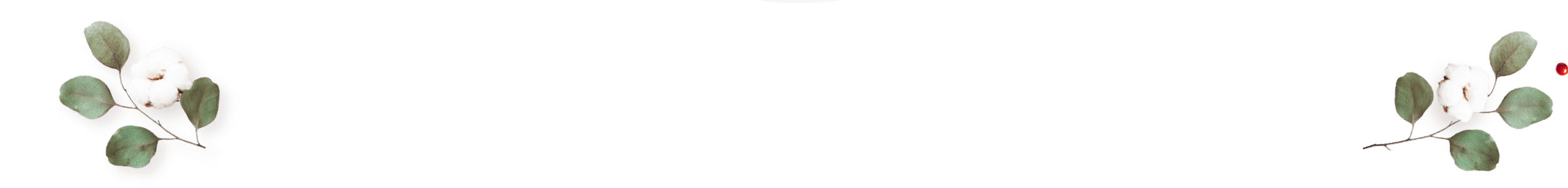 https://minkoani.com/wp-content/uploads/2020/12/floating_image_couples_02-1.png