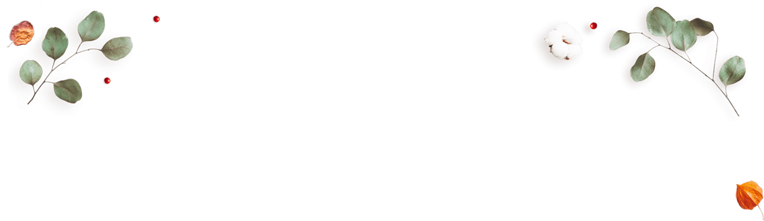 https://minkoani.com/wp-content/uploads/2020/12/floating_image_couples_03-1.png