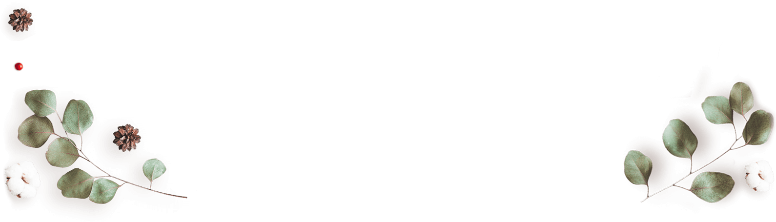 https://minkoani.com/wp-content/uploads/2020/12/floating_image_couples_04-1.png