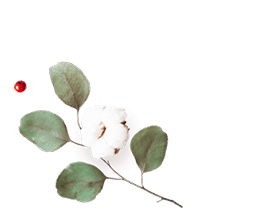 https://minkoani.com/wp-content/uploads/2020/12/floating_image_flower_01-1.png