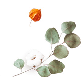 https://minkoani.com/wp-content/uploads/2020/12/floating_image_flower_02-1.png