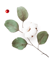 https://minkoani.com/wp-content/uploads/2020/12/floating_image_flower_03-1.png
