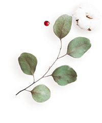 https://minkoani.com/wp-content/uploads/2020/12/floating_image_flower_04-1.png